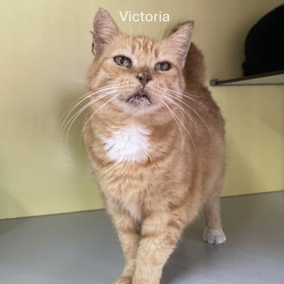 Nora en Victoria